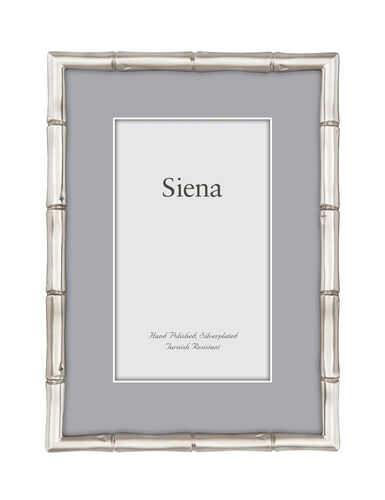 Cast Metal Bamboo Siena Silverplate Frame   Tizo Designs