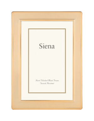 Dbl Border Plain Siena Silverplate Gold Frame