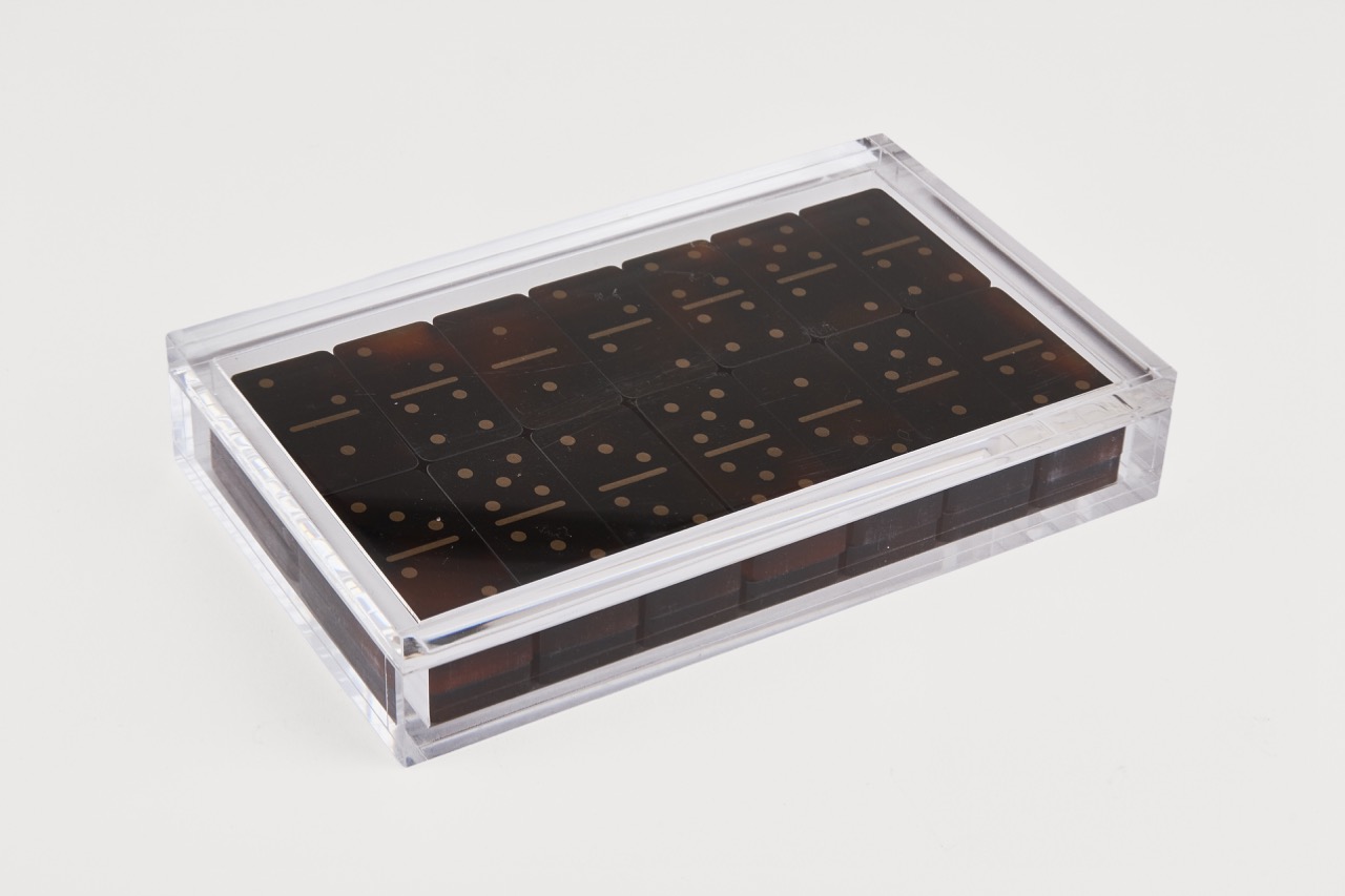 Lucite Tortoise Shell Domino Set “Tortoise Shell Box”